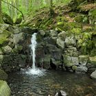 Bei den Wassergeistern im tiefen Wald 09