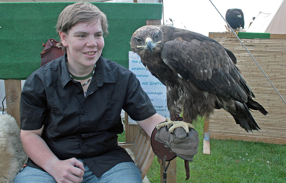 bei den wikingertagen schleswig war ja ne flugshow