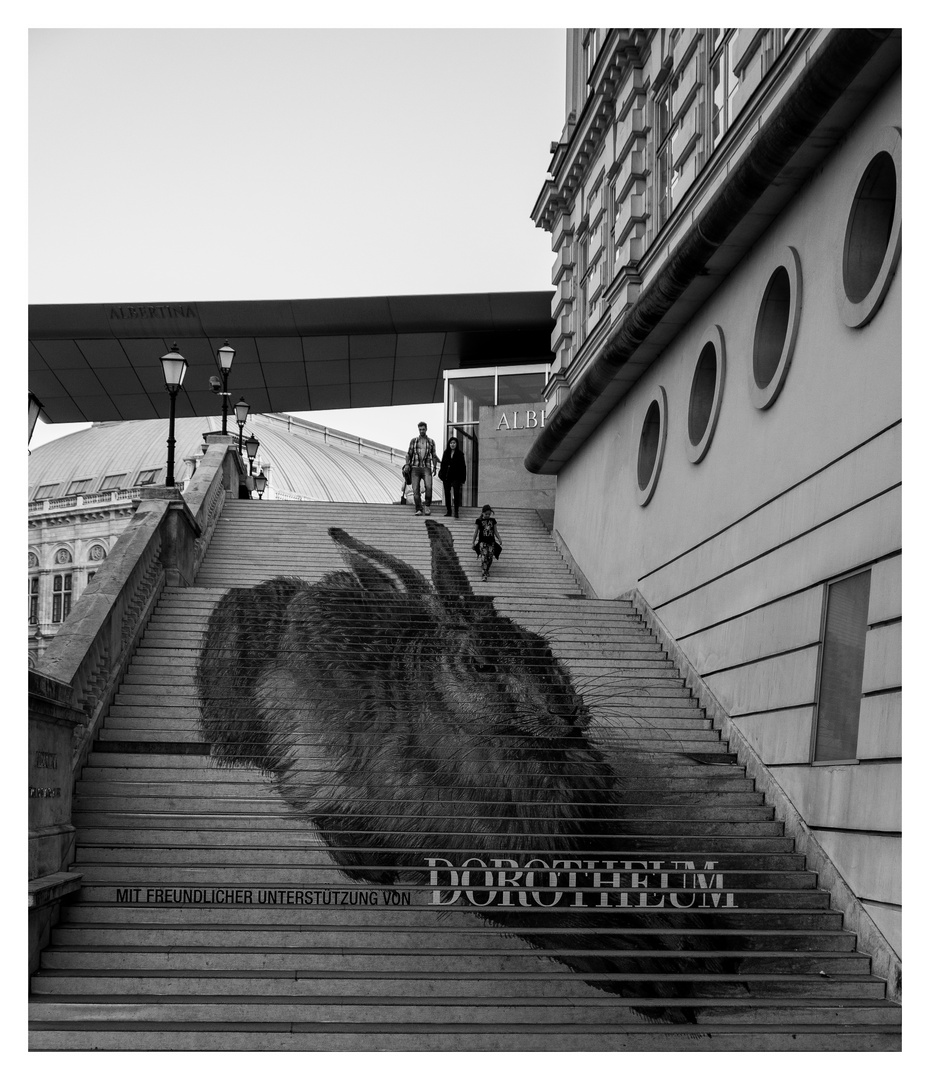 Bei der Albertina in Wien, weiss man, wie der Hase läuft!