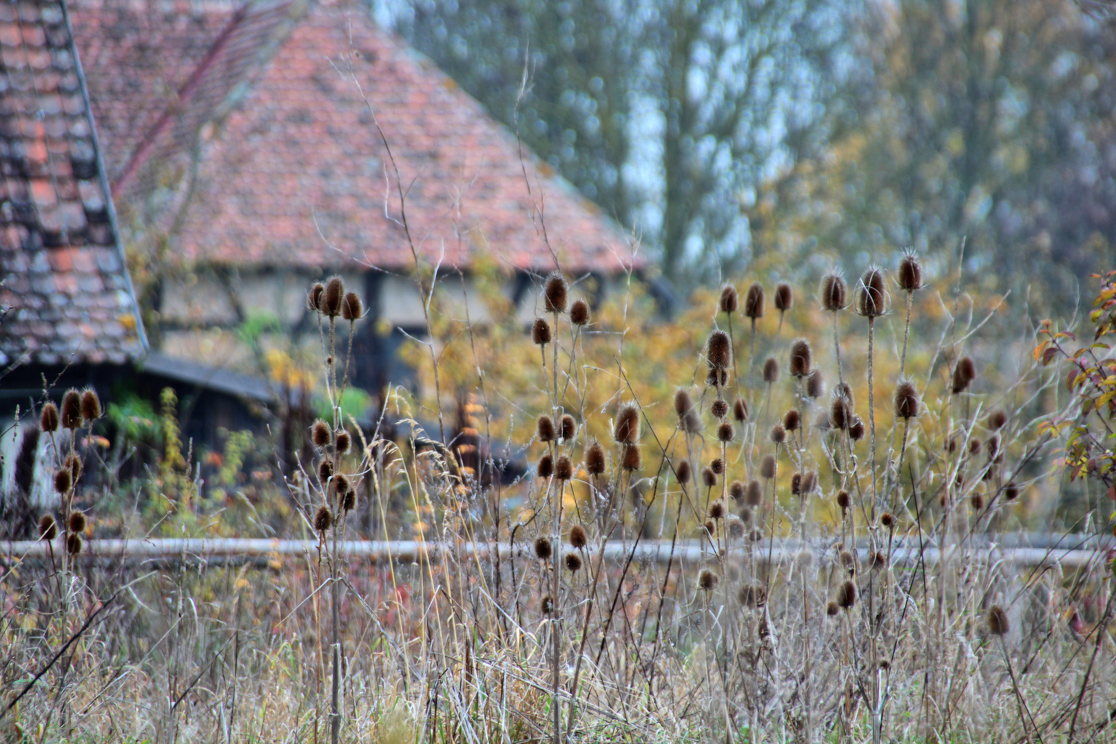 bei der alten Mühle