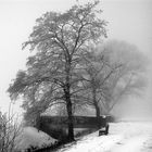 Bei der alten Steinbrücke (1:1 Version, sw auf Agfa Scala 200x)