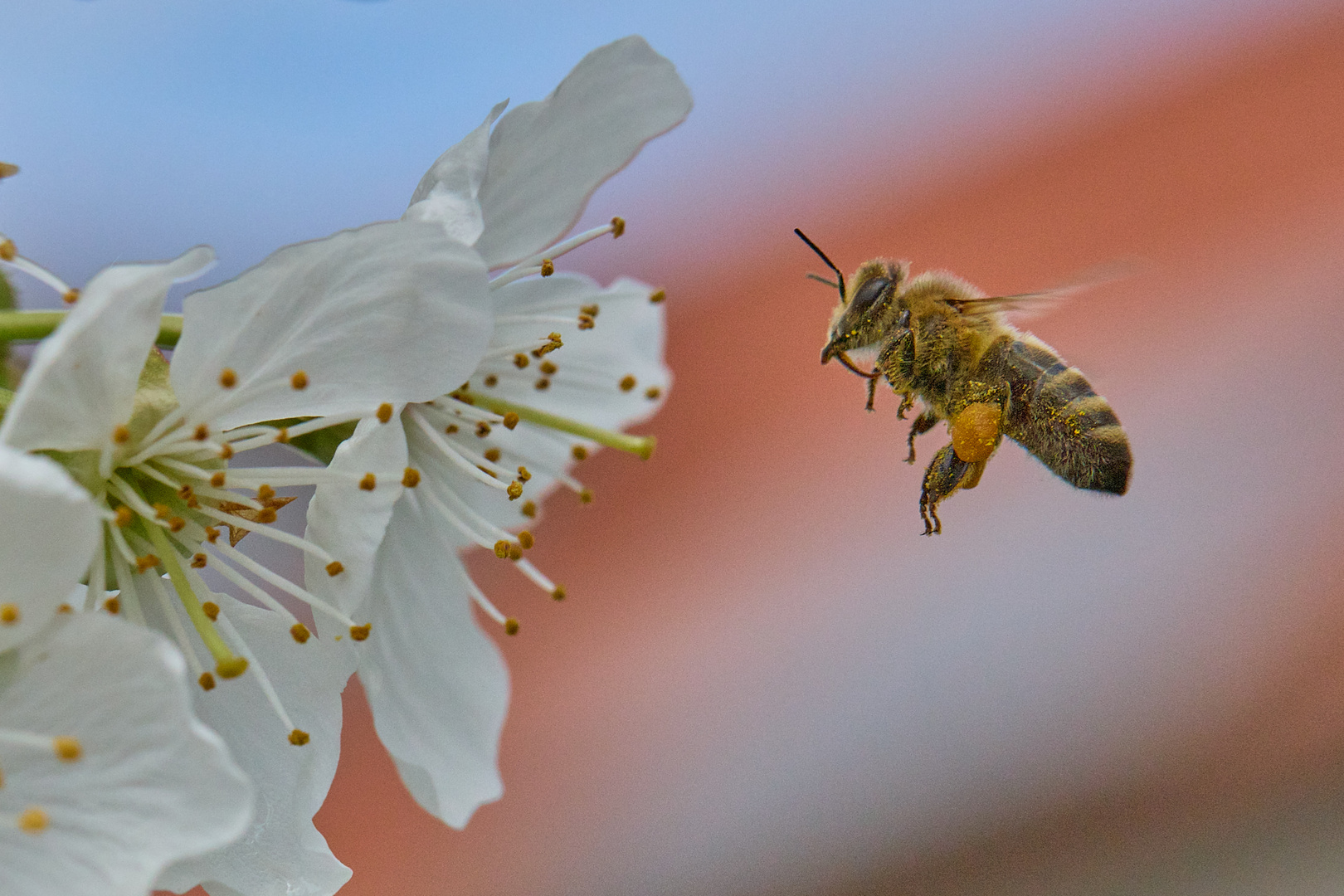 bei der Arbeit.......