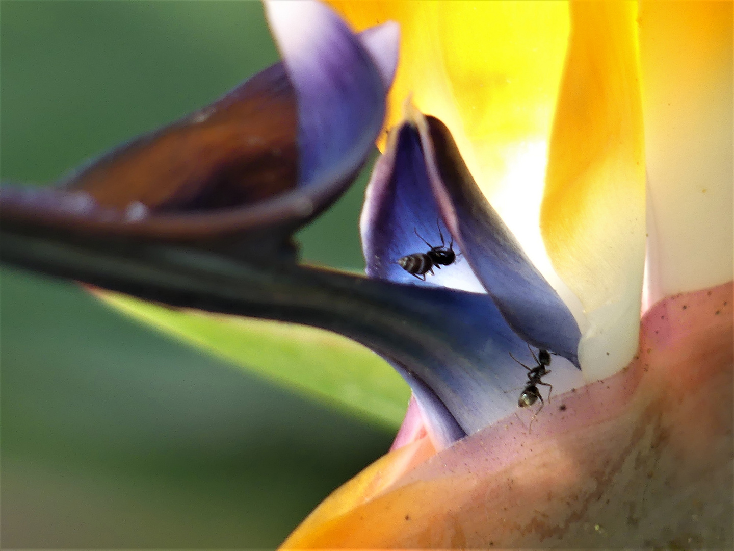 "Bei der Arbeit"