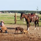 bei der Arbeit