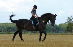 Bei der Arbeit auf dem Feld