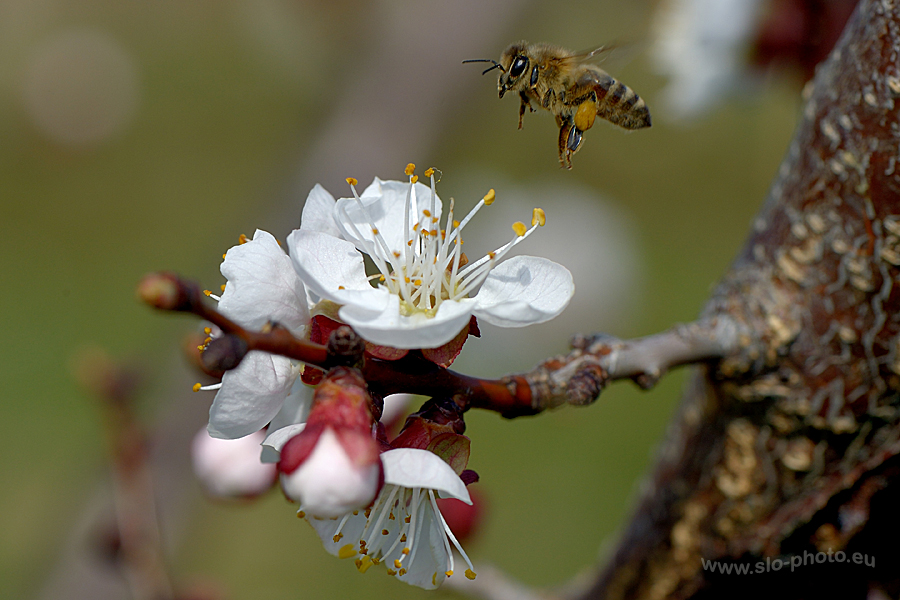 Bei der Arbeit