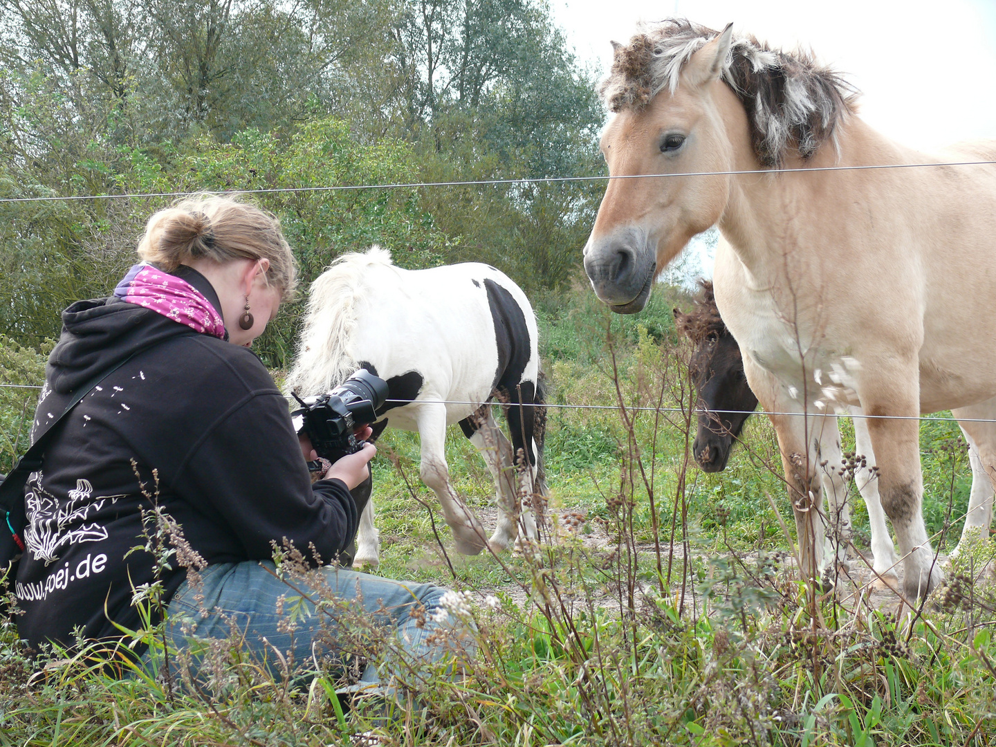 bei der Arbeit...