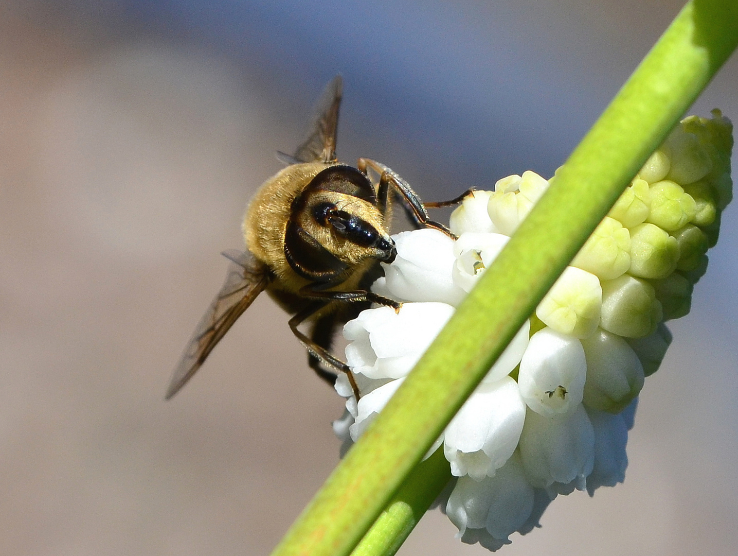 --- Bei der Arbeit .................