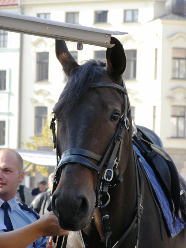 Bei der Arbeit (Polizei)