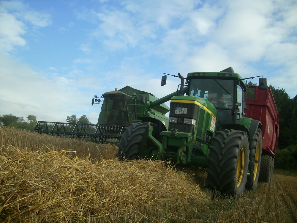 Bei der Ernte im Sommer '08