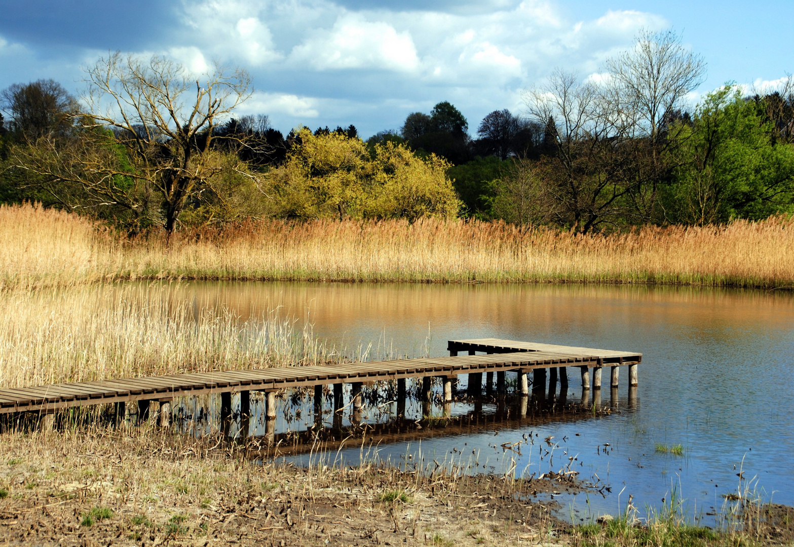 Bei der Eyneburg oder Emmaburg (Hergenrath - Belgien)