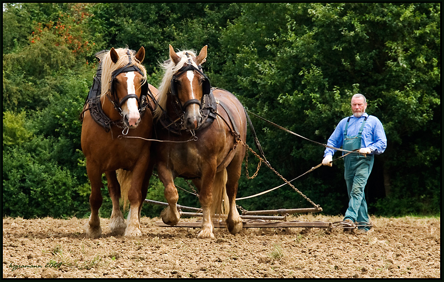 bei der feldarbeit im bergischen land&hellip;. Foto &amp; Bild
