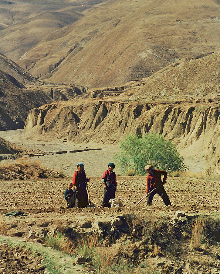 Bei der Feldarbeit, Überland, Tibet