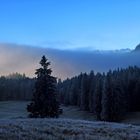 Bei der gestrigen Wanderung war es Arschkalt!