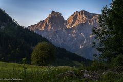 Bei der Grabner-Alm ...