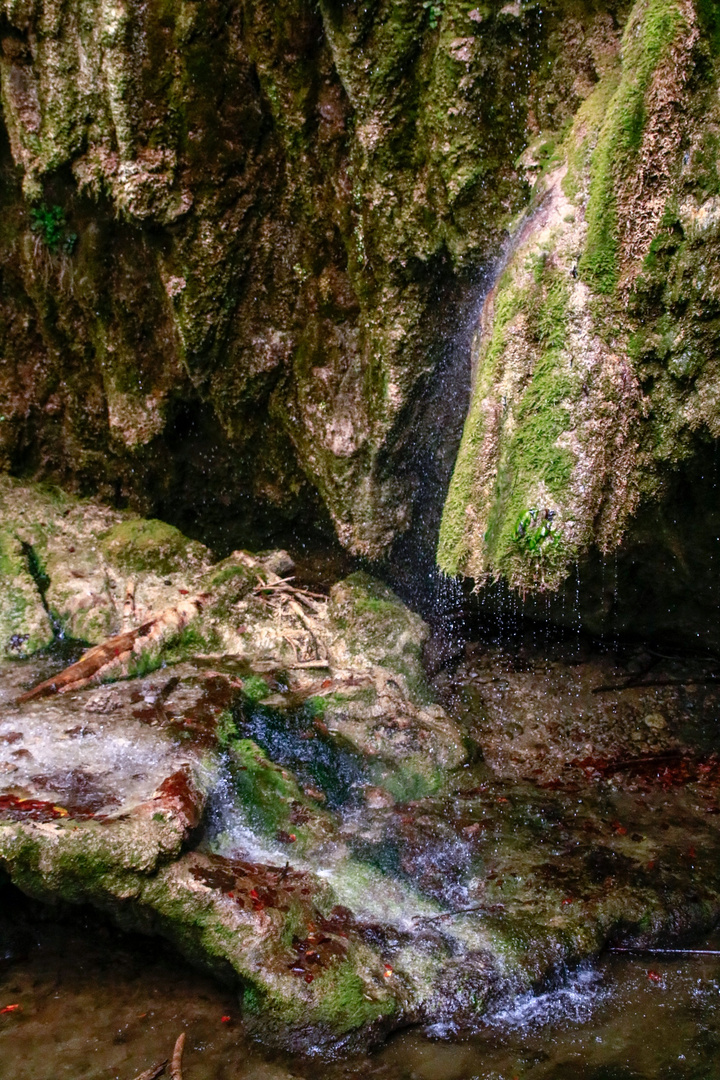 Bei der Hinanger Wasserfall II