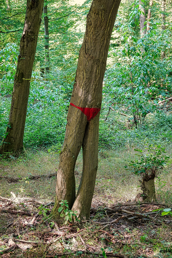 Bei der Hitze nur mit Badehose :-)