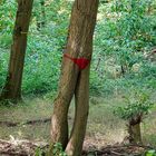 Bei der Hitze nur mit Badehose :-)