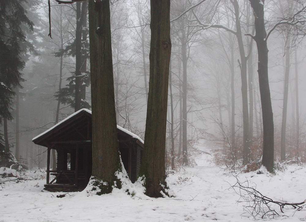 Bei der Hütte