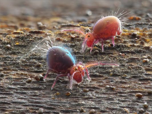 Bei der Lieblingsbeschäftigung 