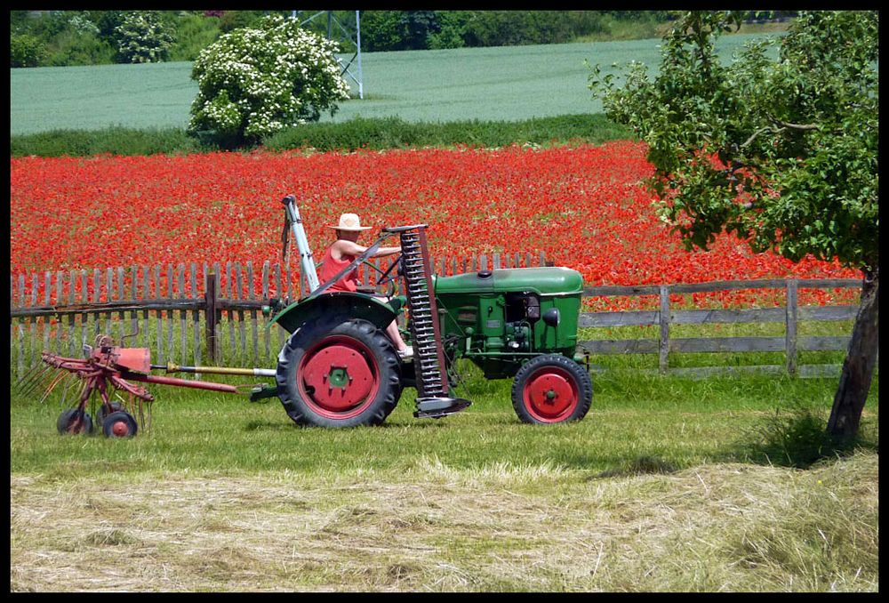 Bei der Mohn-Farm .. angekommen