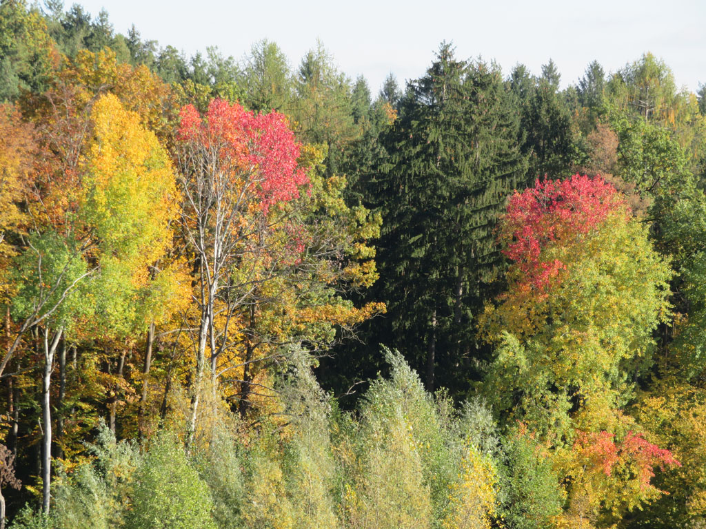 bei der Pampa Foto & Bild pflanzen, samen, bäume, natur Bilder auf