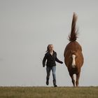 Bei der Pferdefotografie ist zu beachten...