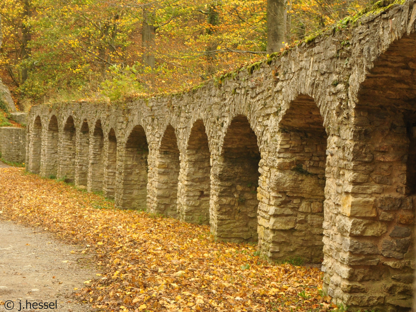 Bei der Plesse im Herbst