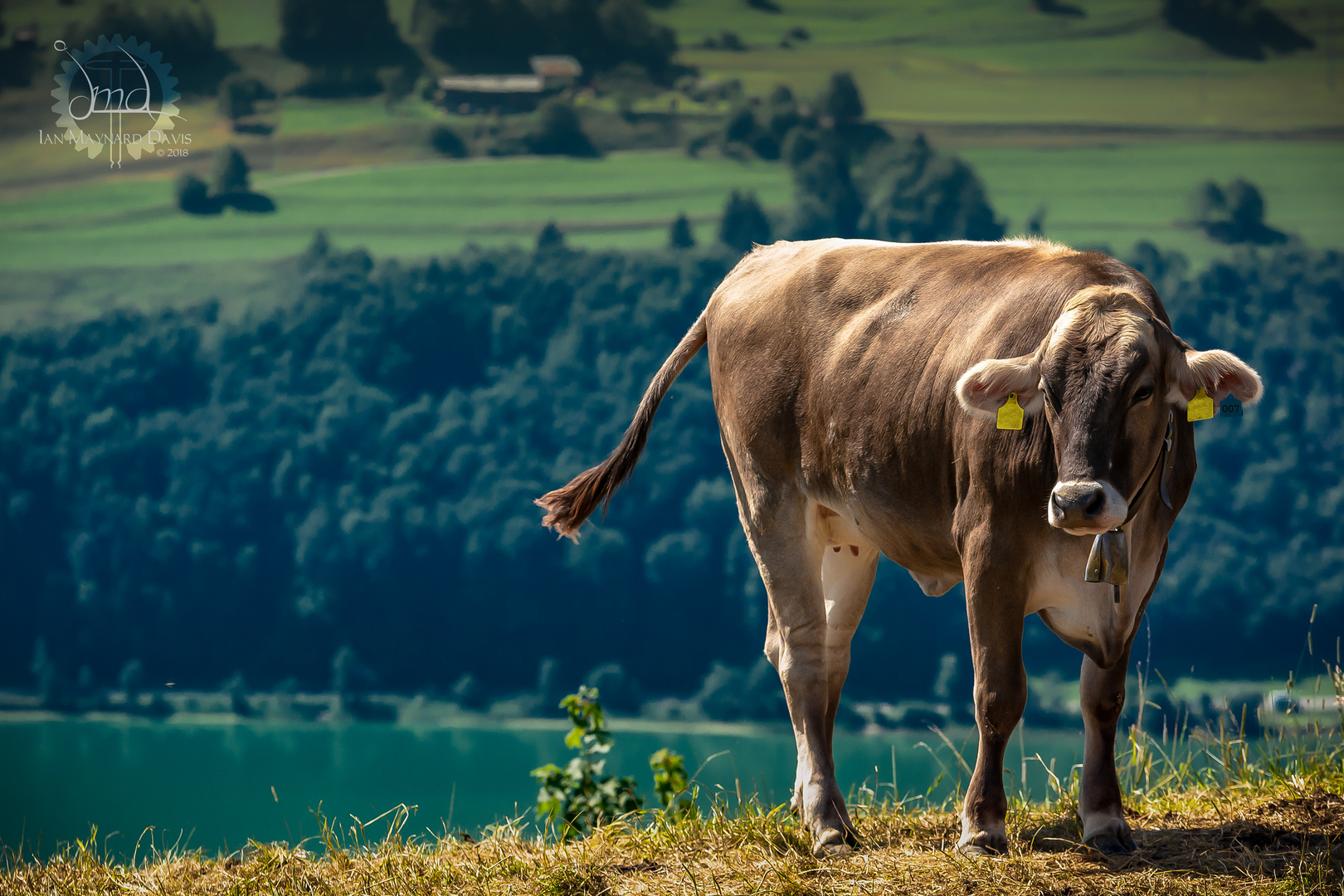 Bei der Siedelalpe