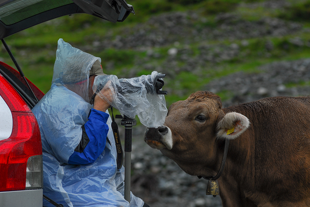 Bei der Silvretta - Classic