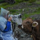 Bei der Silvretta - Classic