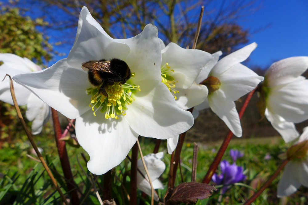 bei der Sonne hätte die Frühlingsjacke gereicht