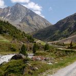 Bei der Sulztalalm mit Schrankogel