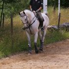 Bei der täglichen Arbeit