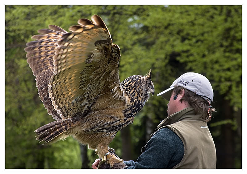 bei der Vogelschau....