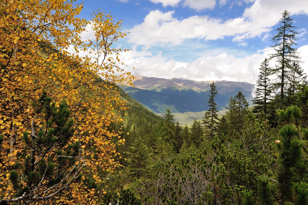 Bei der Wanderung zur Dreischusterhütte...