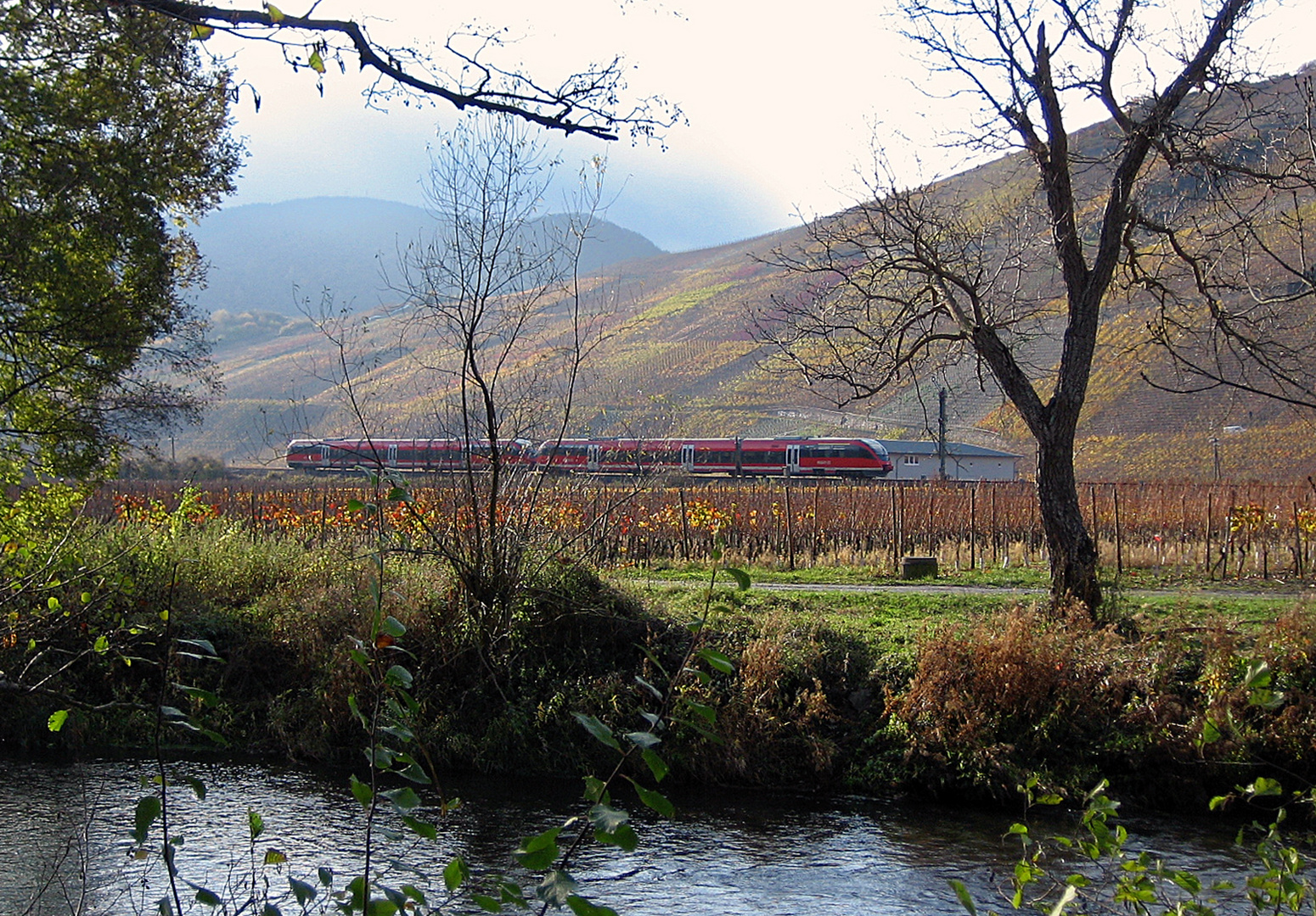 Bei Dernau im November 2009