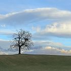 Bei diesem Wolkenhimmel...