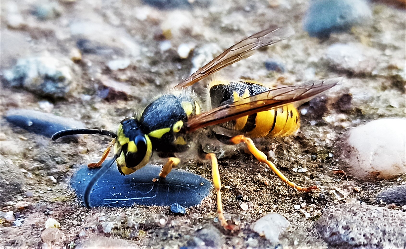 Bei dieser Kälte 