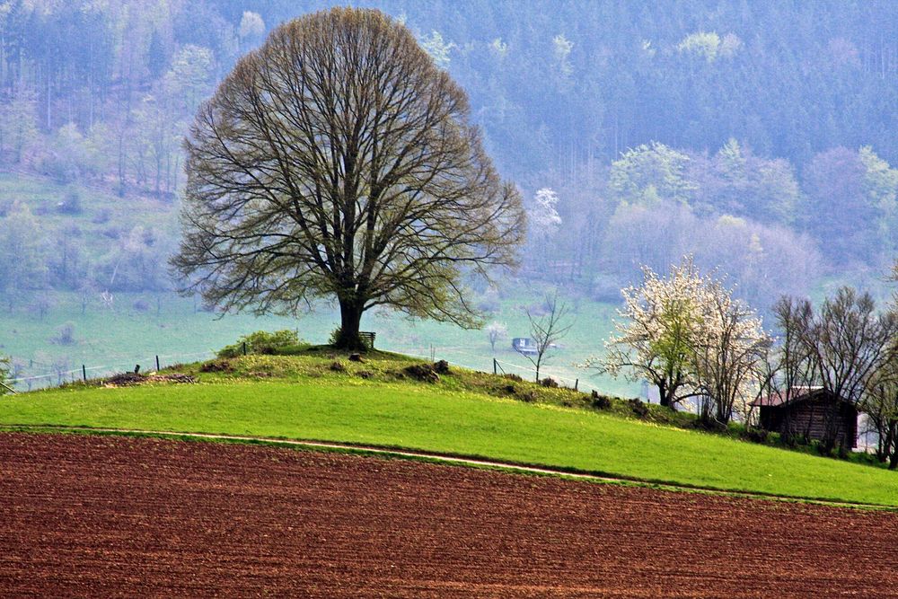 Bei Dohrenbach