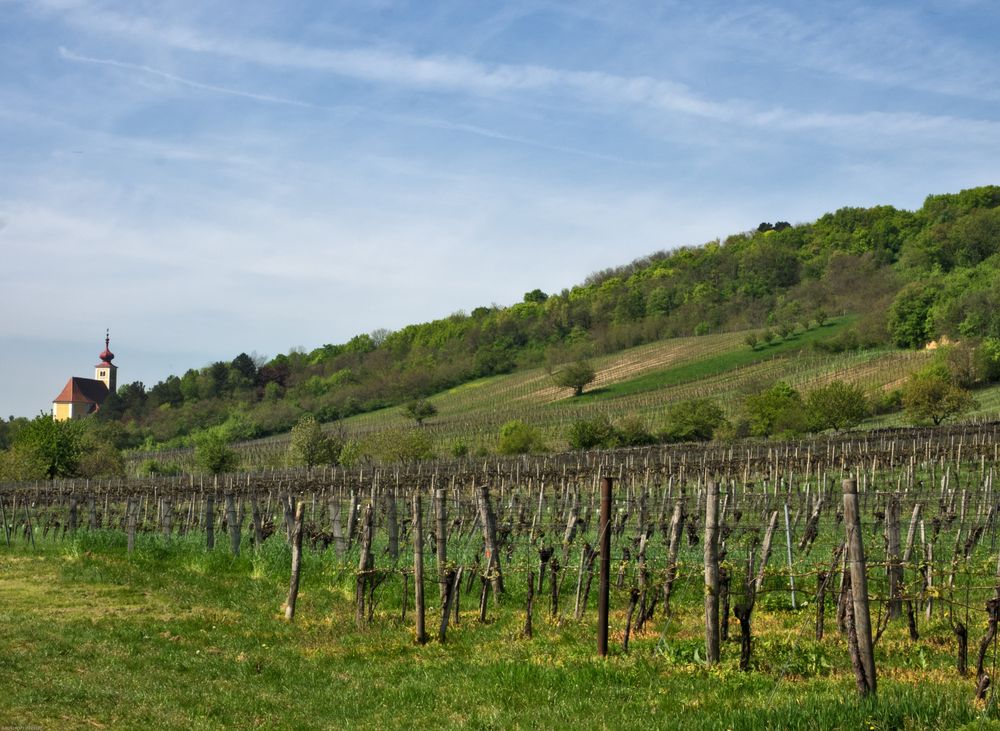 bei Donnerskirchen, Burgenland