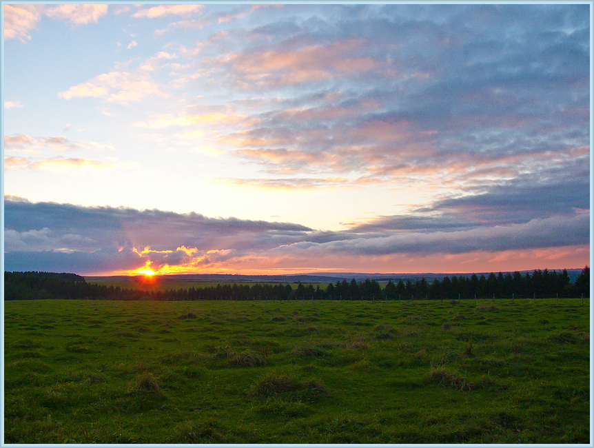 bei Dreiborn (Eifel)