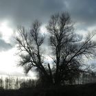 Bei drohendem Regen nehme ich immer einen Aldi-Einkaufsbeutel mit,