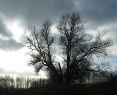 Bei drohendem Regen nehme ich immer einen Aldi-Einkaufsbeutel mit,