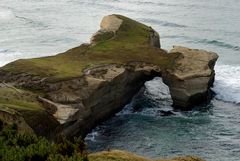 Bei Dunedin am Meer