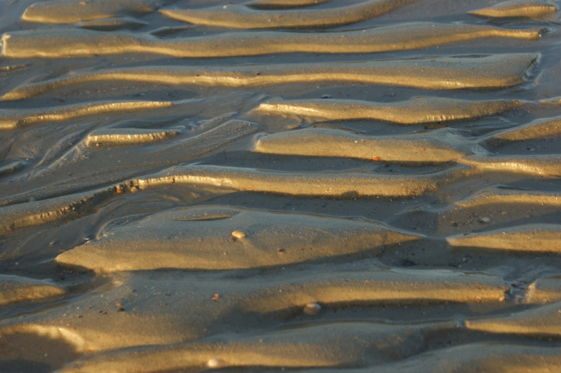 bei Ebbe auf dem Strand von Norderney