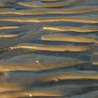 bei Ebbe auf dem Strand von Norderney