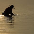 Bei Ebbe kommen die Muschelsucher