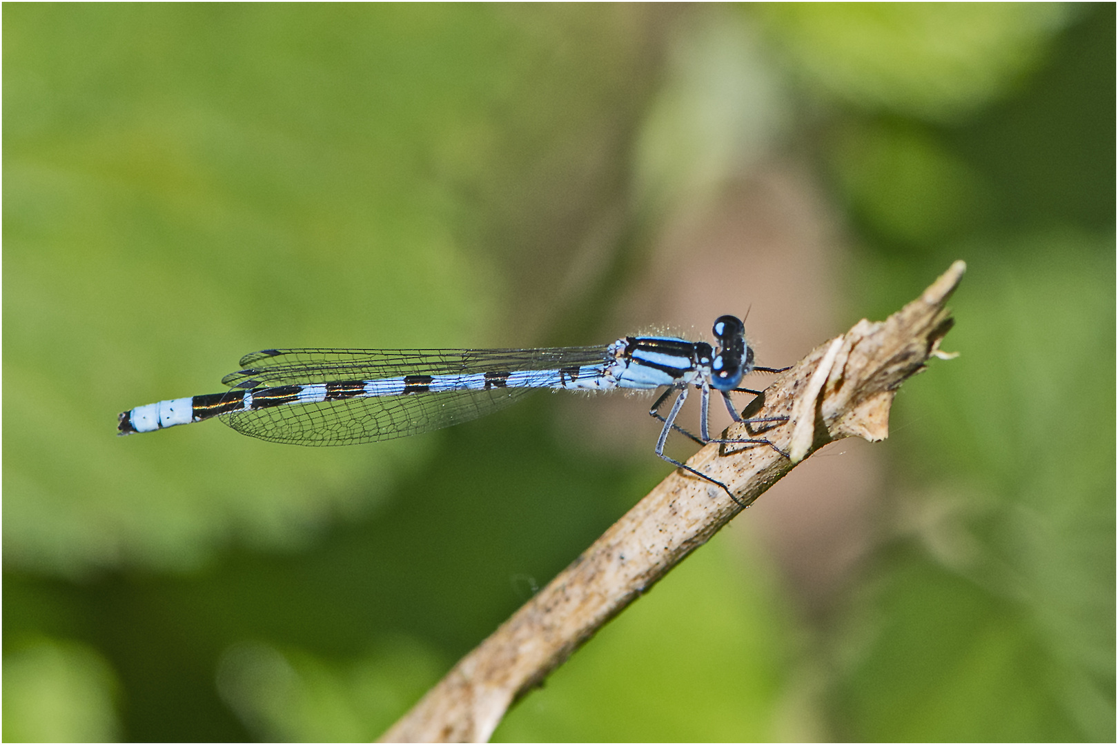  Bei einem Besuch im Moor (5) . . .