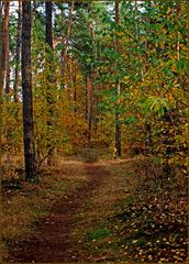 Bei einem Herbstspaziergang